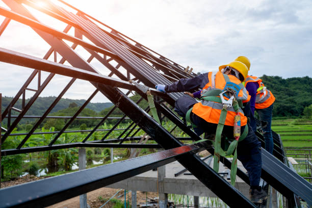 Best Roof Repair Specialists  in Halls, TN