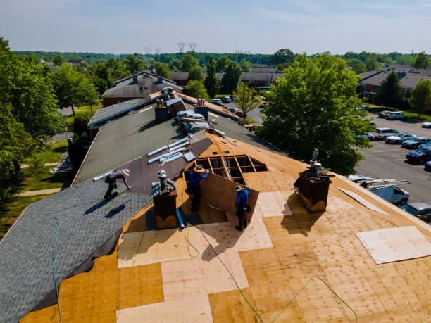 Roof Gutter Cleaning in Halls, TN