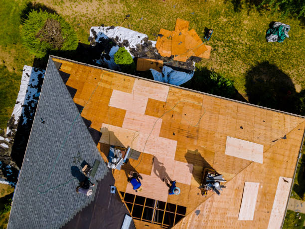  Halls, TN Roofing Contractor Pros