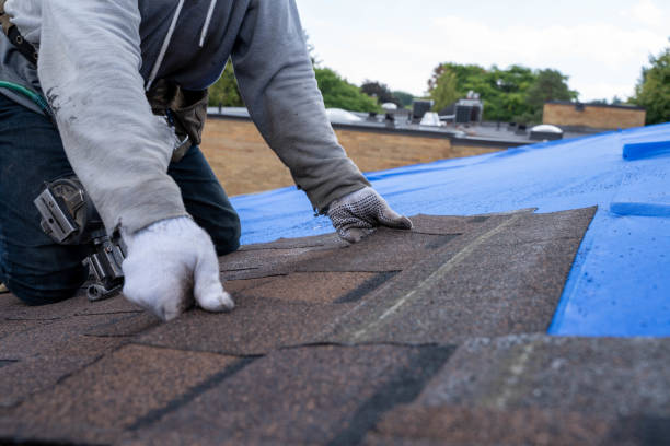 Best Gutter Installation and Roofing  in Halls, TN