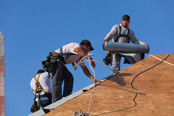 Best Roof Repair Services  in Halls, TN