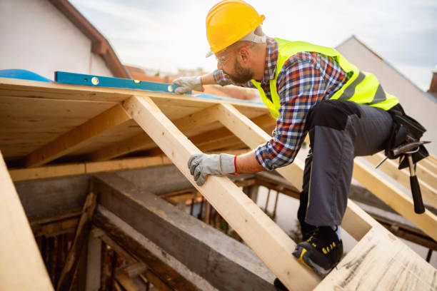 Best Gutter Installation and Roofing  in Halls, TN