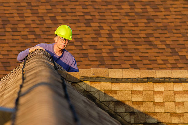 Best Commercial Roofing Services  in Halls, TN