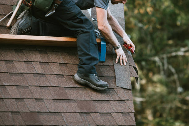 Best Commercial Roof Installation  in Halls, TN
